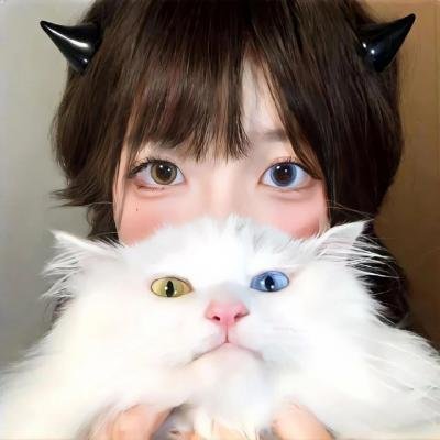 歌舞青春2