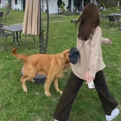 发现女巫第二季